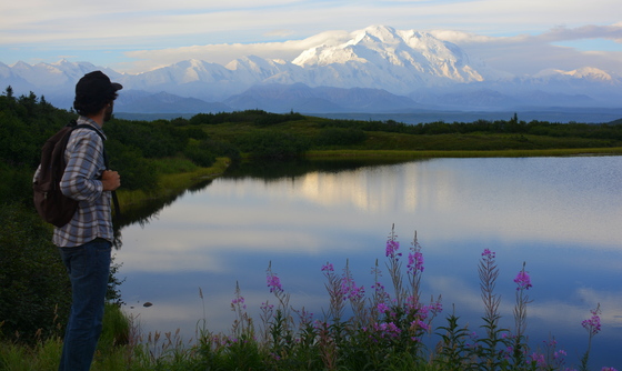 Denali National Park 