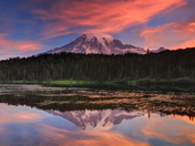 Mount Rainier National Park