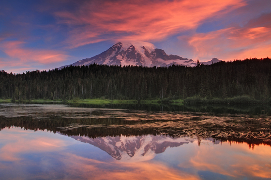 Mount Rainier National Park