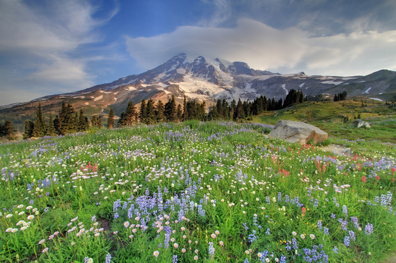 Mount Rainier National Park