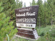 Roosevelt National Forest