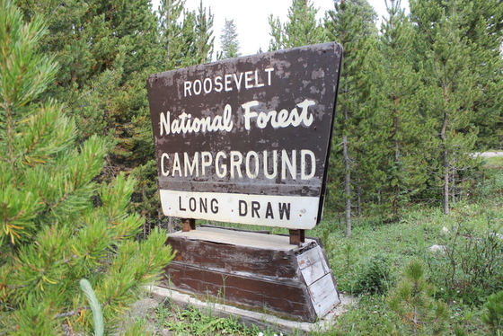 Roosevelt National Forest