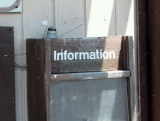 Columbia National Wildlife Refuge