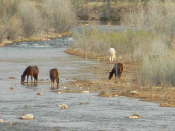 Verde river