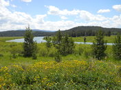 Grand Teton National Park