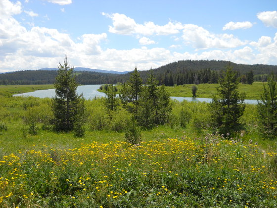 Grand Teton National Park