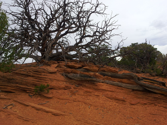 Arches National Park