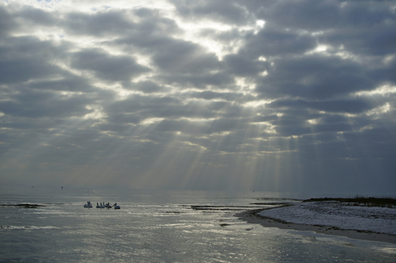 Cedar Keys National Wildlife Refuge