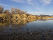 Tonto National Forest 