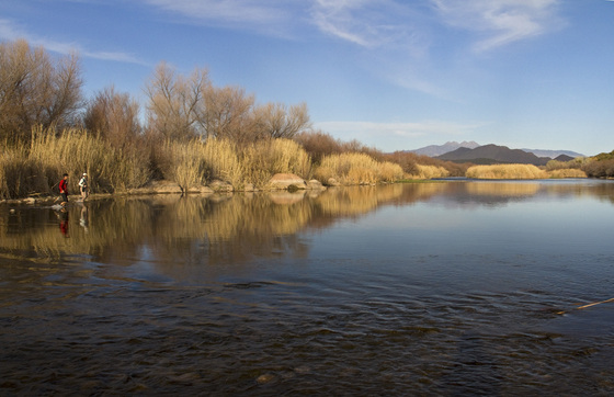 Tonto National Forest 