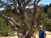 Pike National Forest