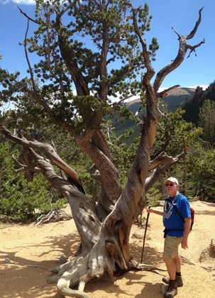 Pike National Forest
