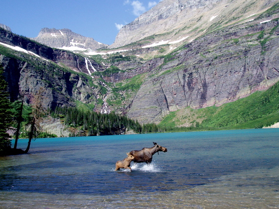 Glacier National Park