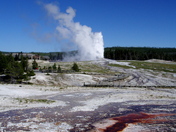 Yellowstone National Park