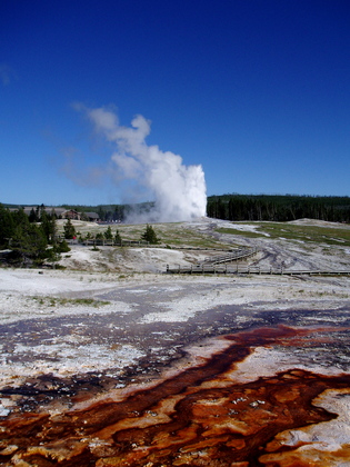 Yellowstone National Park