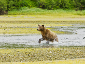 Katmai National Park