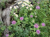 Rocky Mountain National Park