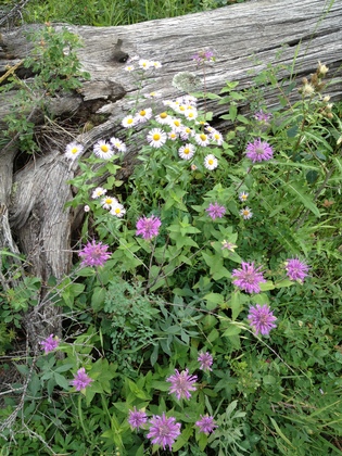 Rocky Mountain National Park