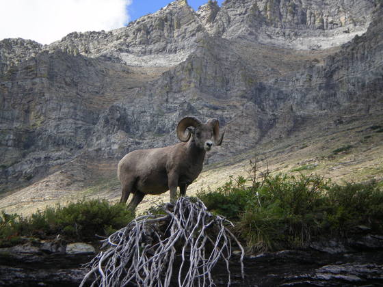 Glacier National Park