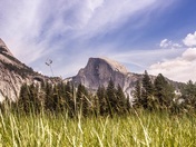 Yosemite National Park