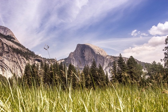 Yosemite National Park