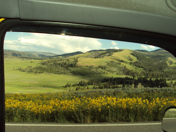 Yellowstone National Park
