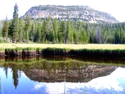 Murdock Basin