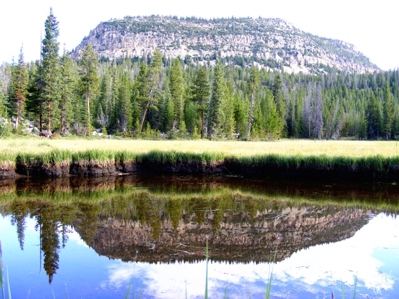 Murdock Basin