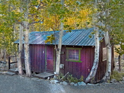 Inyo National Forest, Sierra Mountains, CA
