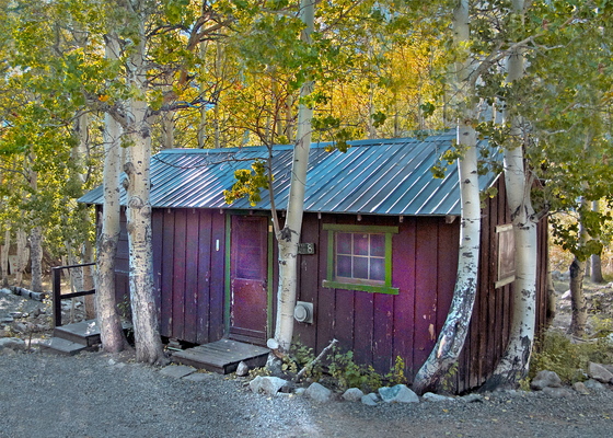Inyo National Forest, Sierra Mountains, CA