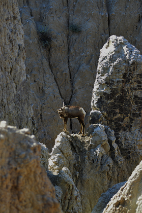 Badlands National Park, South Dakota