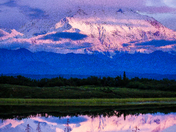 Denali National Park