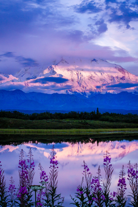 Denali National Park