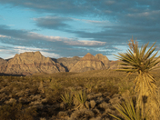 Red Rock Canyon National Consevation Area