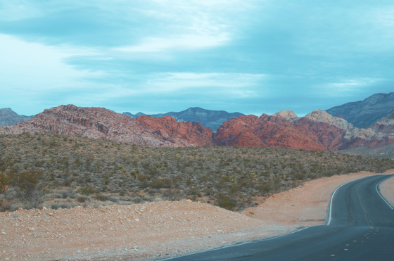 Red Rock Canyon National Consevation Area