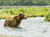 Katmai National Park