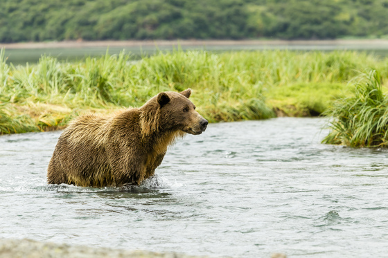 Katmai National Park