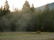 Yellowstone