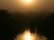 Everglades National Park