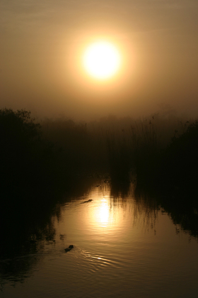 Everglades National Park