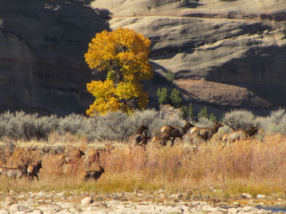 Dinosaur National Monument