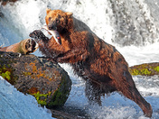 Katmai National PArk and preserve