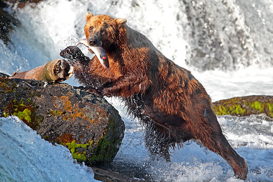 Katmai National PArk and preserve