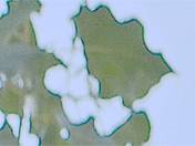 Taking a Rest from the Nest