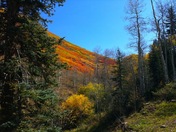 White River National Forest
