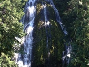 Willamette National Forest