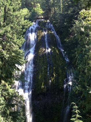 Willamette National Forest