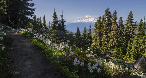 Goat Rocks Wilderness
