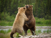 Katmai National Park