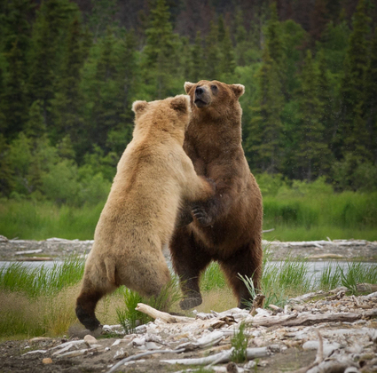 Katmai National Park